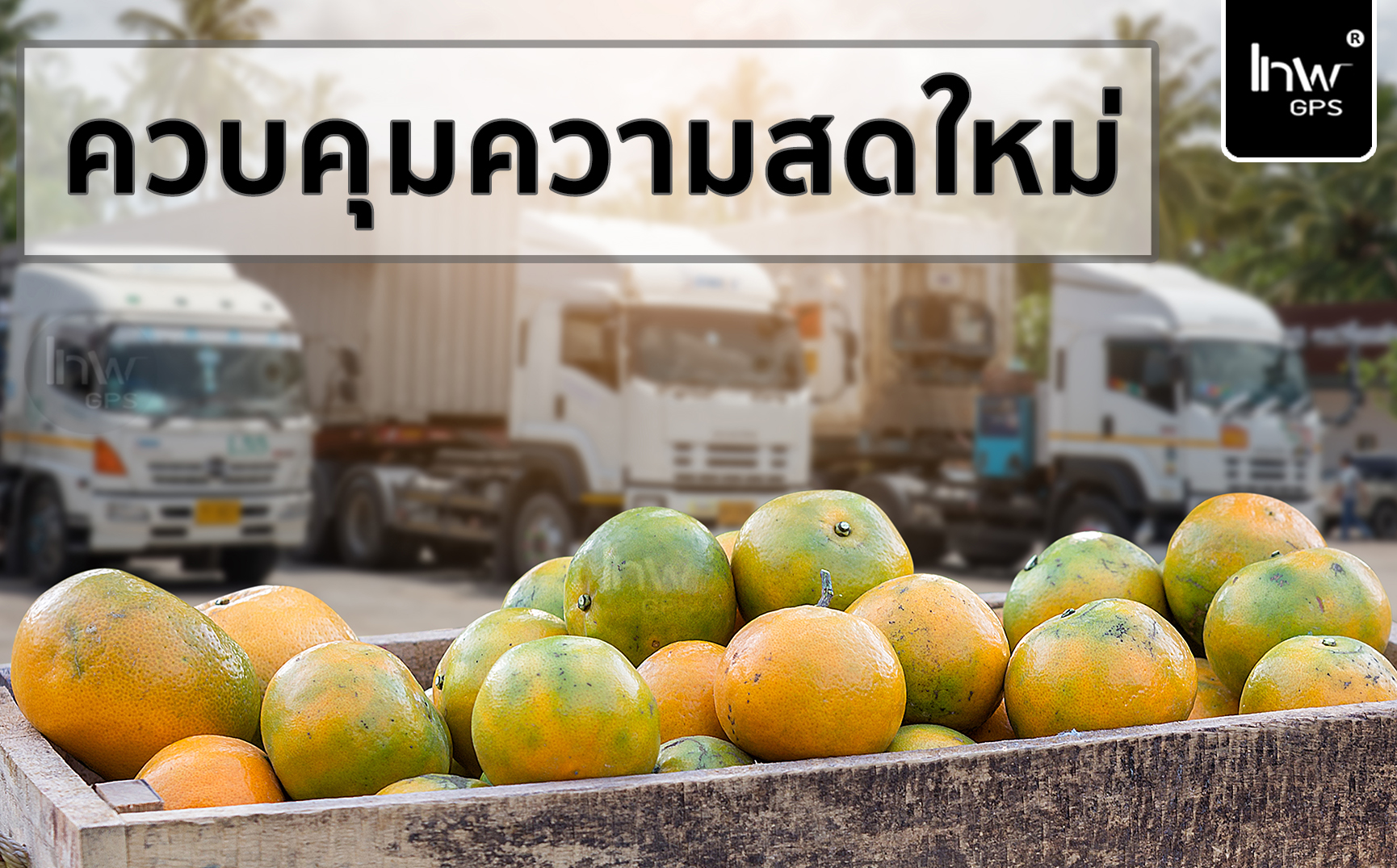 จีพีเอส รถ ห้องเย็น จี พี เอส รถ ตู เย็น จีพีเอสรถตู้แช่